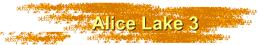 Alice Lake 3