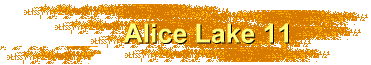 Alice Lake 11