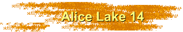 Alice Lake 14