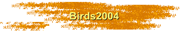 Birds2004